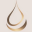 aurena-us.com favicon